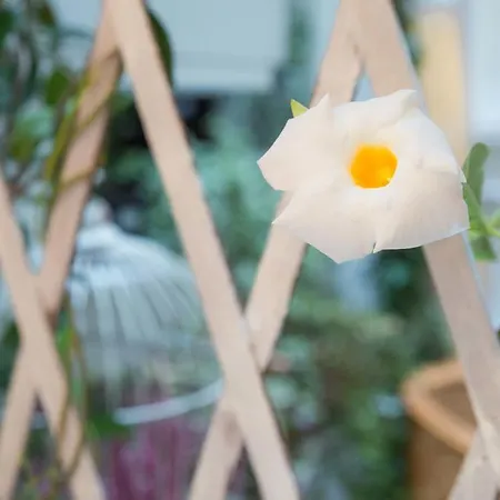 Sardinia Design Penzion Cagliari